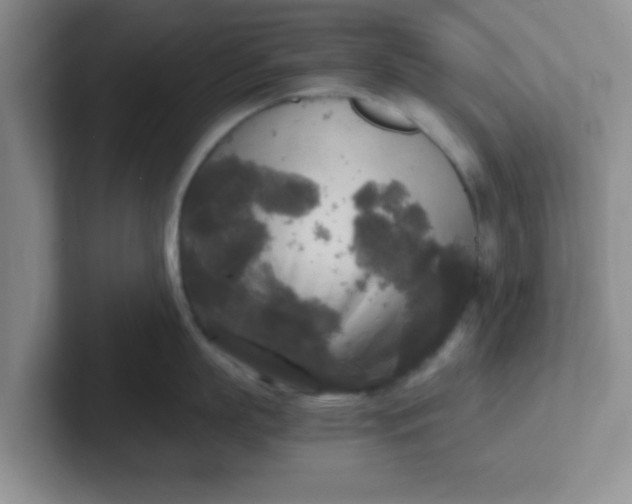 X0000102300863200808081543