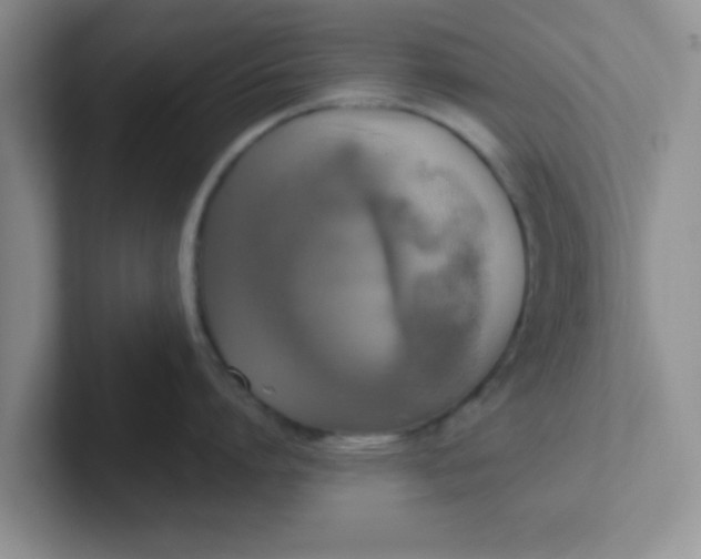 X0000102300864200808081543