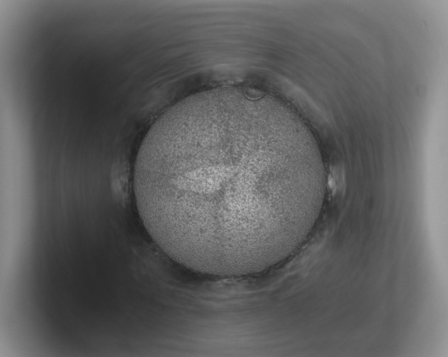 X0000102300867200808081542