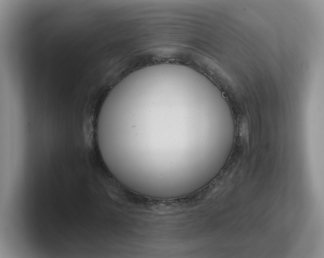 X0000102300868200808081542