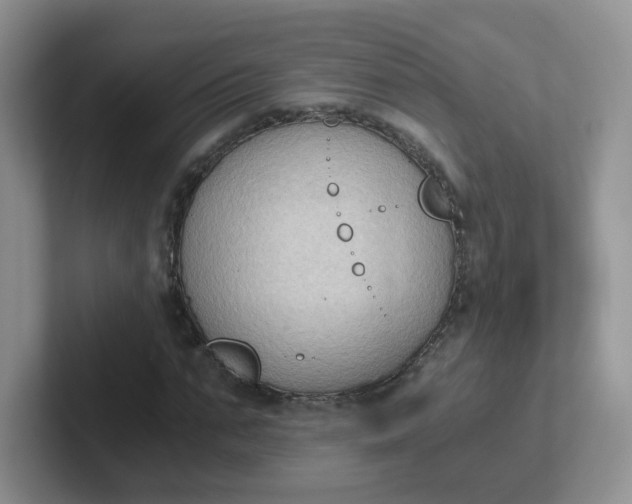 X0000102300871200808081542