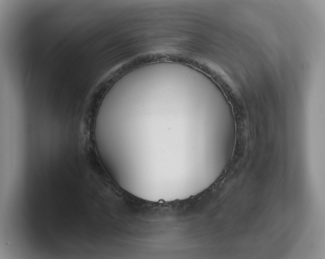 X0000102300872200808081542