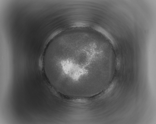 X0000102300874200808081542