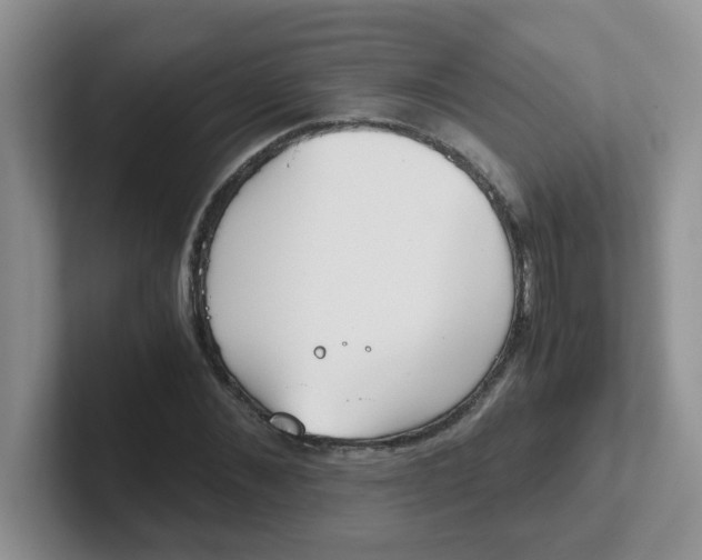 X0000102300876200808081542