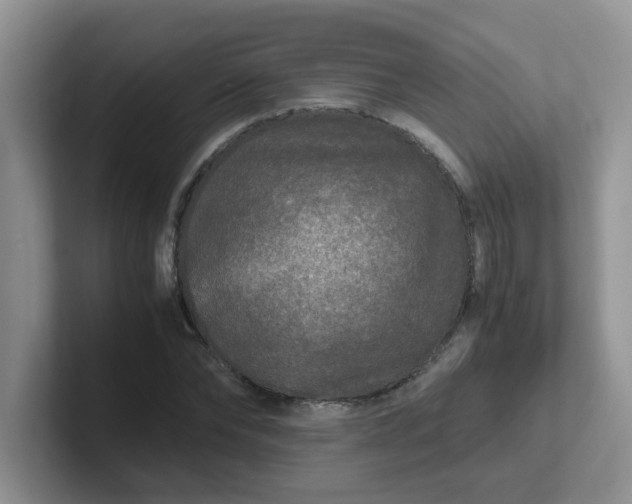 X0000102300878200808081542