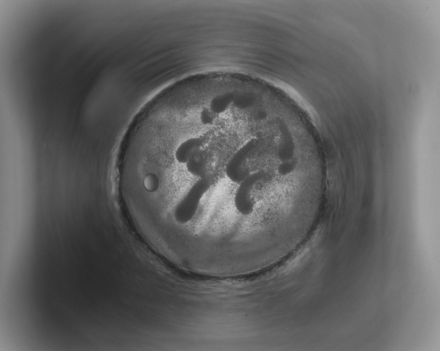 X0000102300879200808081542