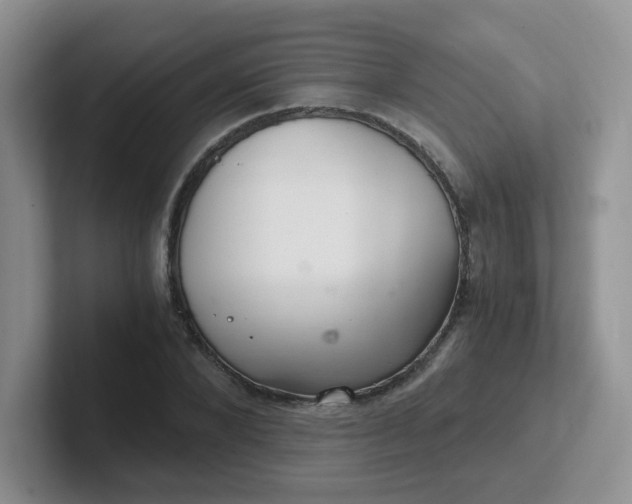 X0000102300880200808081542