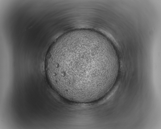 X0000102300881200808081542