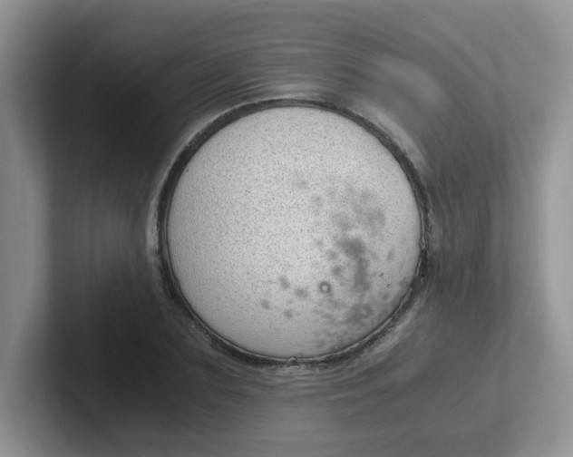 X0000102300883200808081542