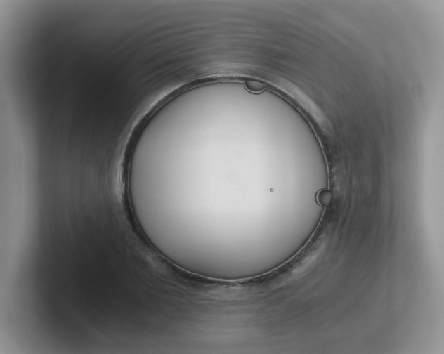 X0000102300885200808081542