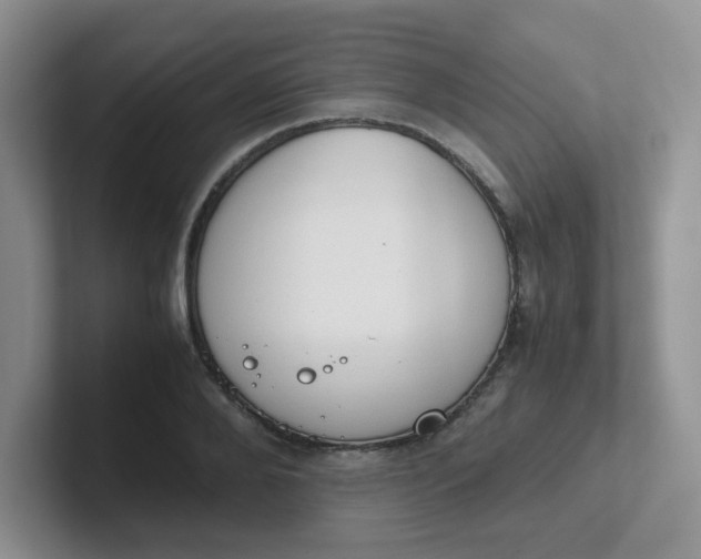 X0000102300888200808081542