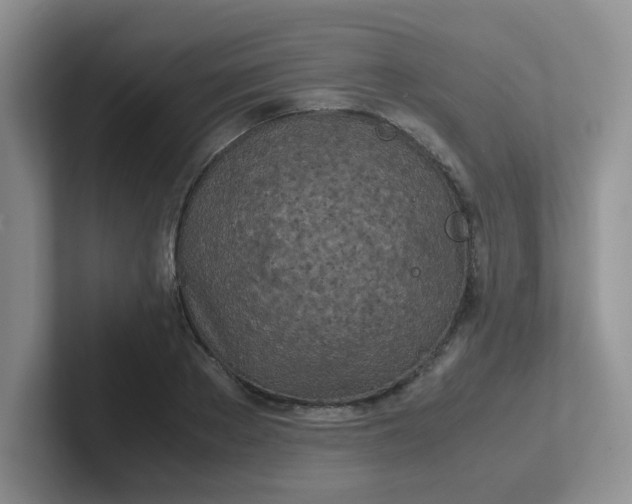 X0000102300889200808081542