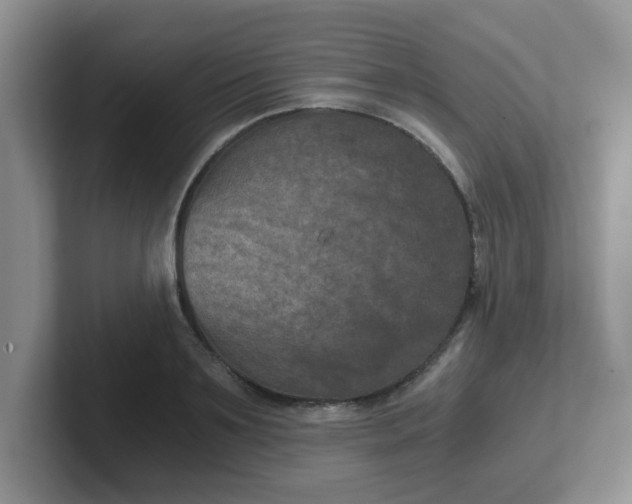 X0000102300891200808081542