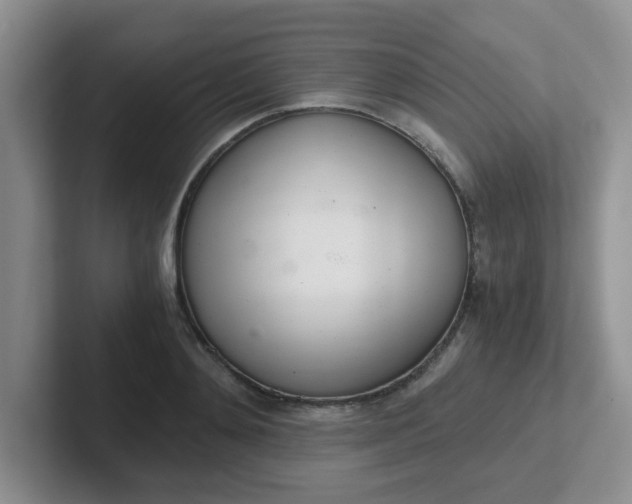 X0000102300892200808081542