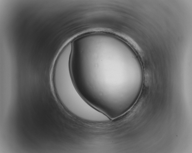 X0000102300895200808081542