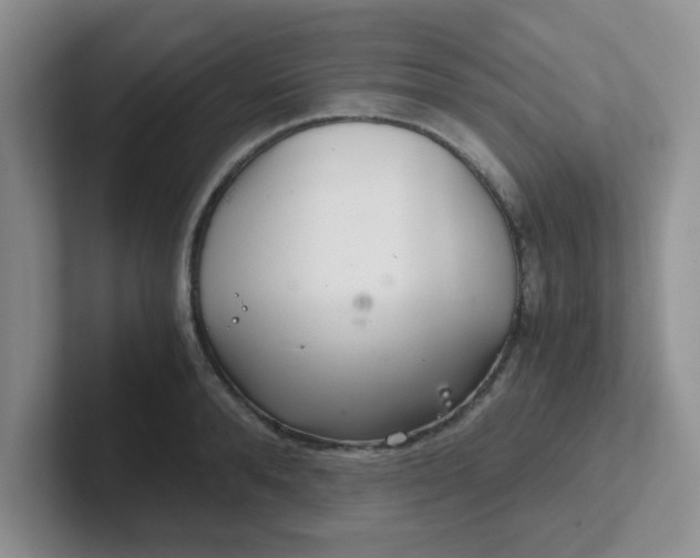 X0000102300896200808081542