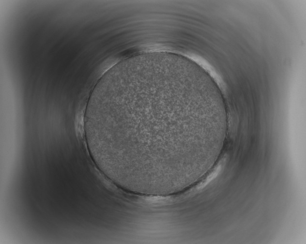 X0000102300897200808081542