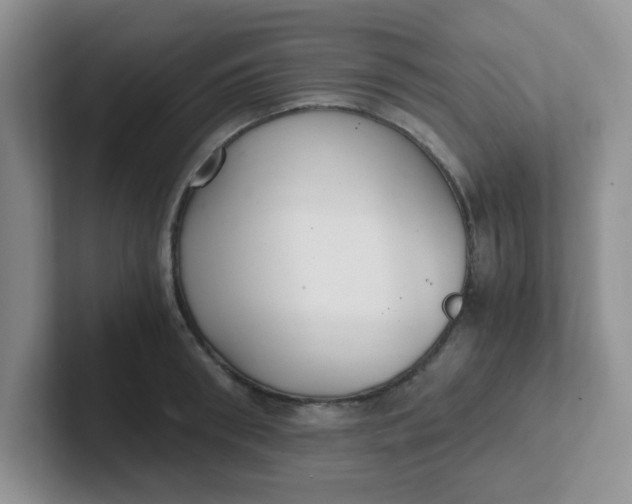 X0000102300898200808081542