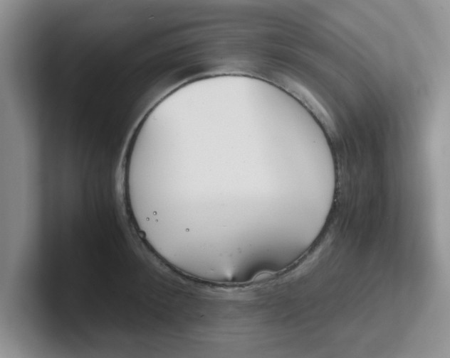 X0000102300900200808081542