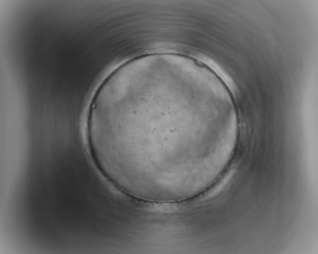 X0000102300901200808081542