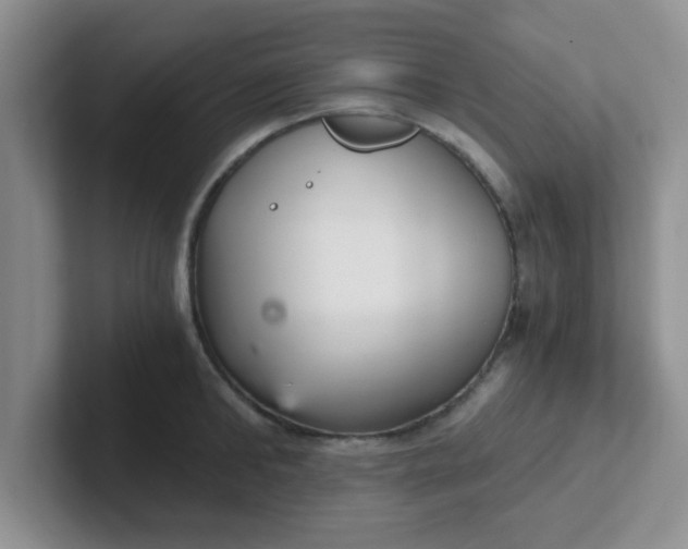 X0000102300902200808081542