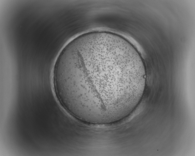 X0000102300903200808081542