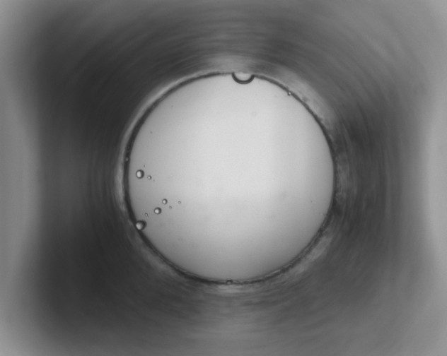 X0000102300904200808081542