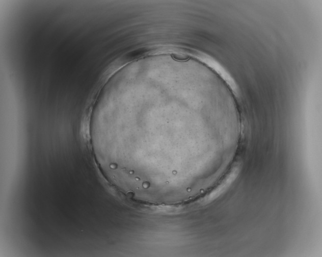 X0000102300905200808081542