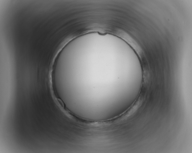 X0000102300906200808081542