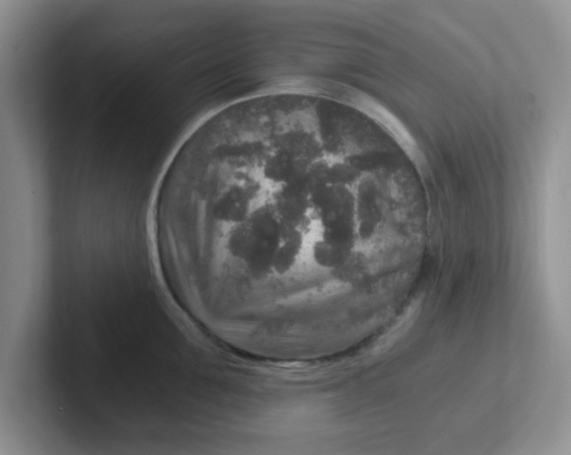 X0000102300907200808081542