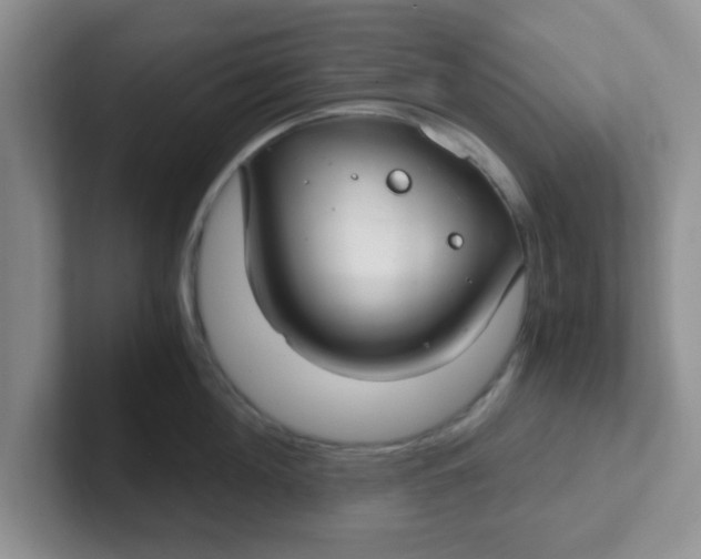 X0000102300908200808081542