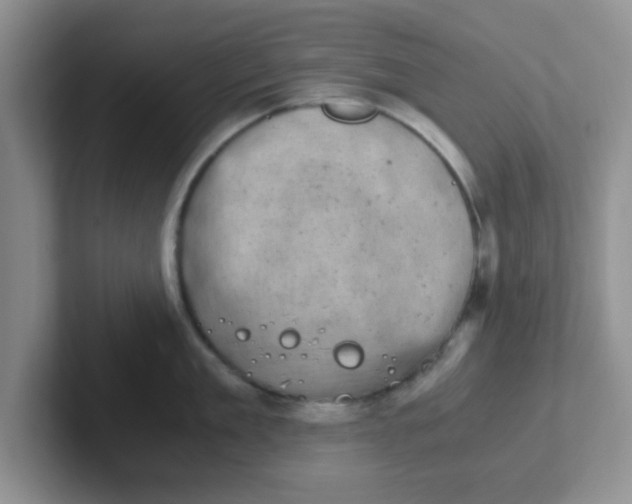 X0000102300909200808081542