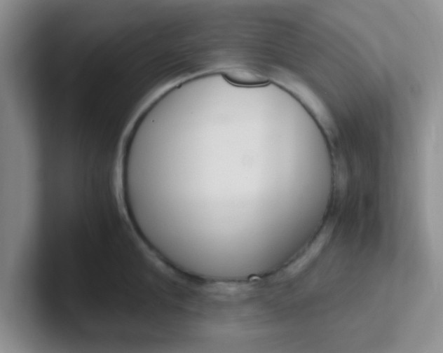 X0000102300910200808081542