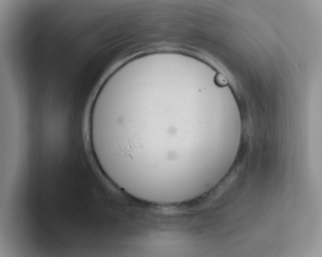 X0000102300911200808081542