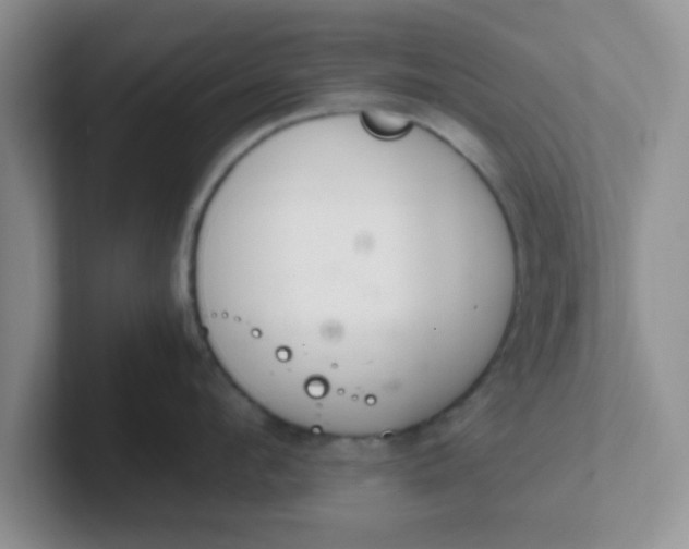 X0000102300912200808081542