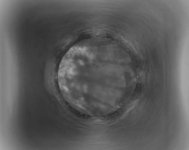 X0000102300913200808081541