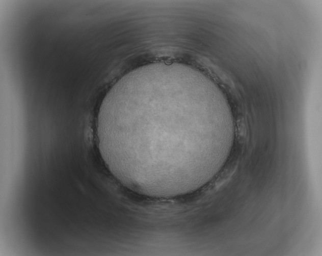 X0000102300916200808081541