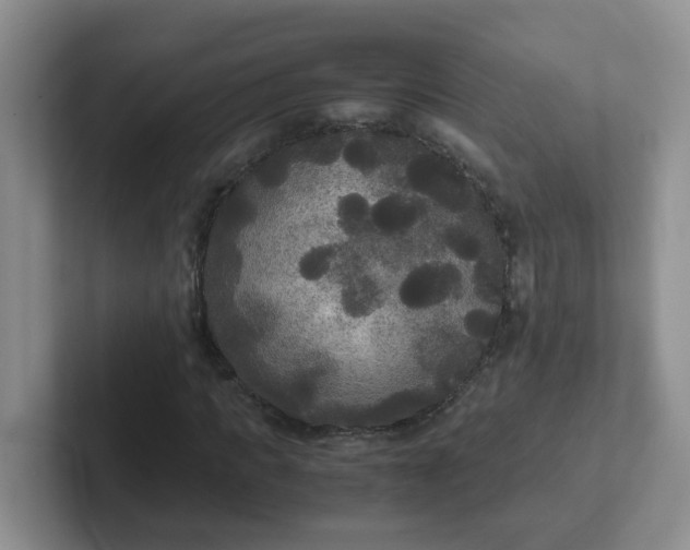 X0000102300917200808081541