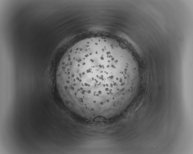 X0000102300919200808081541