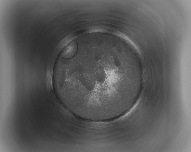 X0000102300921200808081541