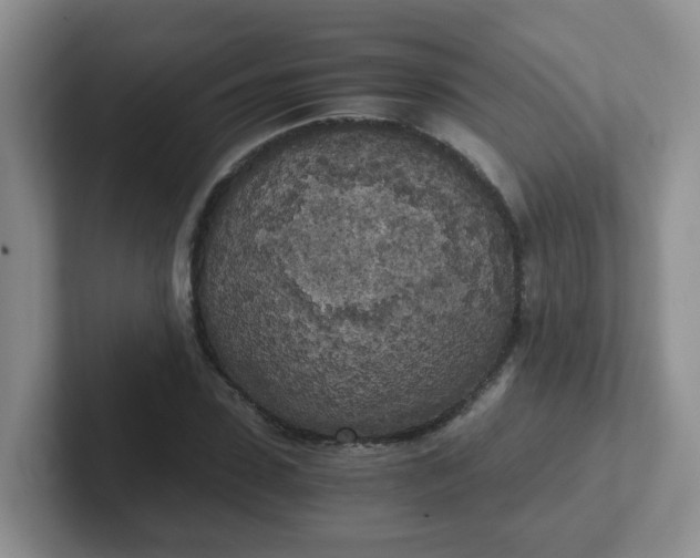 X0000102300923200808081541