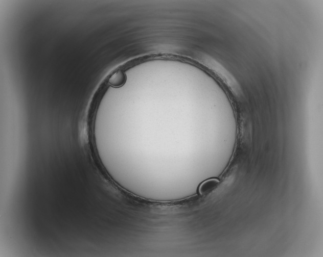 X0000102300924200808081541