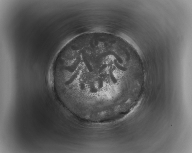 X0000102300925200808081541