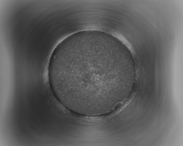 X0000102300928200808081541