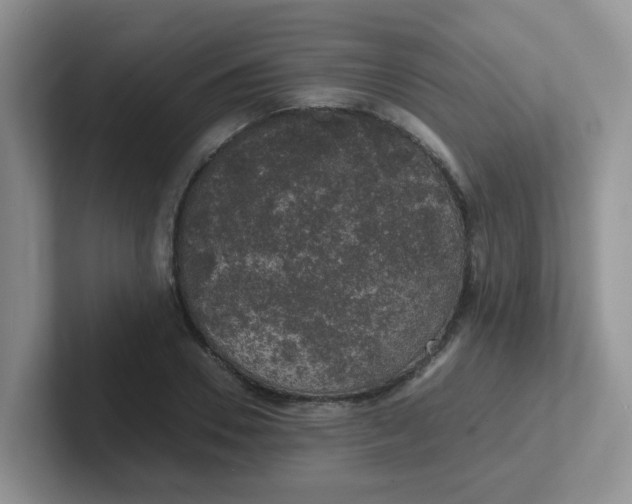 X0000102300930200808081541