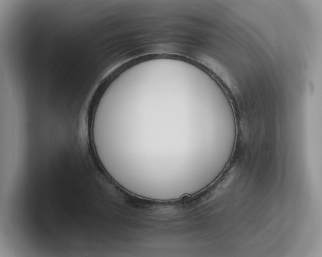 X0000102300931200808081541