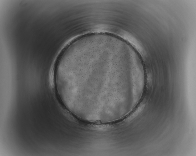 X0000102300934200808081541