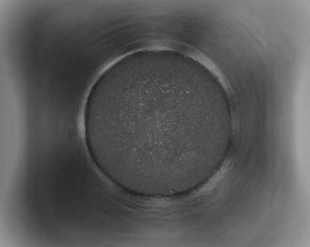 X0000102300935200808081541