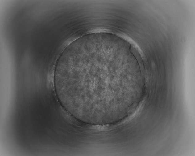 X0000102300937200808081541