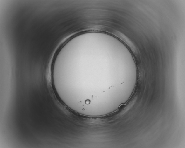 X0000102300940200808081541